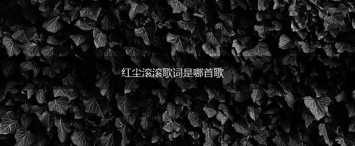 红尘滚滚歌词是哪首歌,第1张