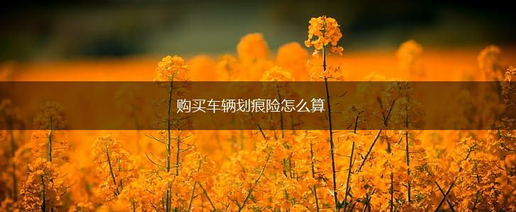 购买车辆划痕险怎么算,第1张