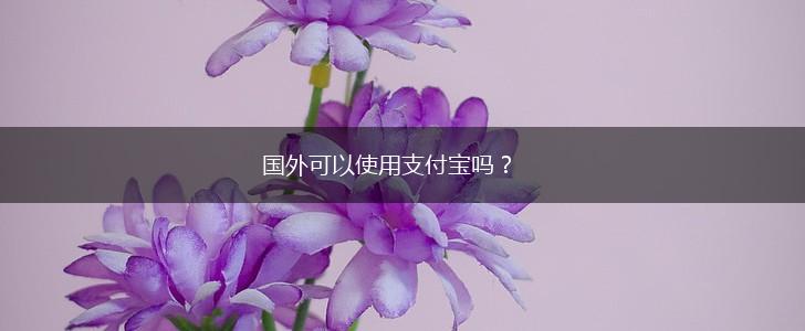 国外可以使用支付宝吗？,第1张