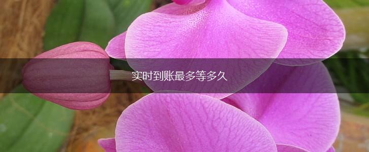 实时到账最多等多久,第1张 实时到账最多等多久,第1张