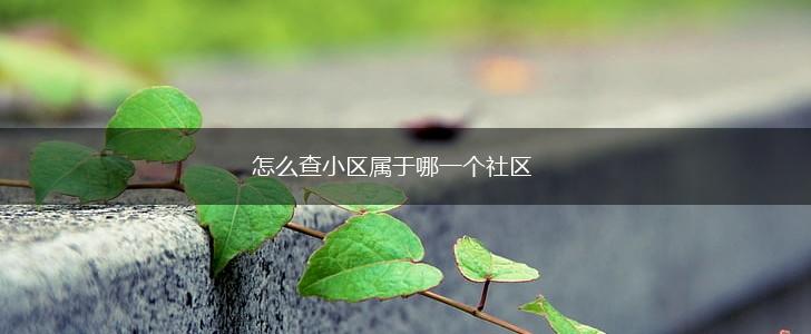 怎么查小区属于哪一个社区,第1张