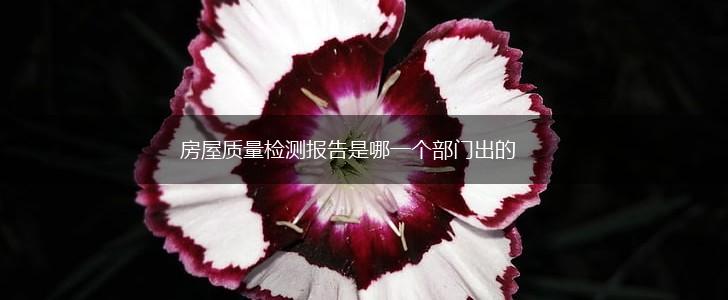 房屋质量检测报告是哪一个部门出的,第1张 房屋质量检测报告是哪一个部门出的,第1张