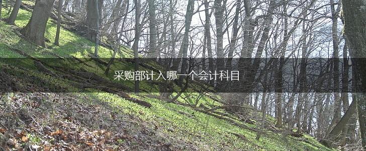 采购部计入哪一个会计科目,第1张