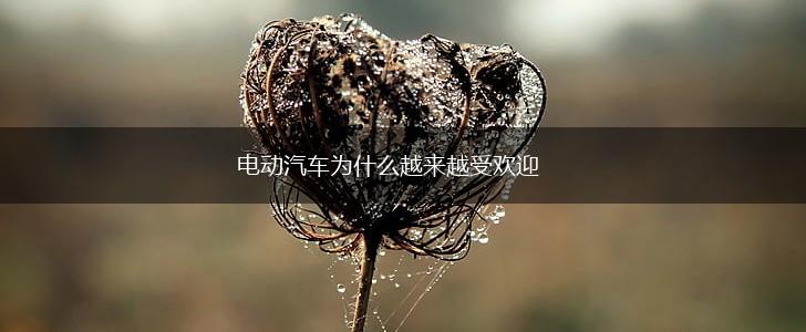 电动汽车为什么越来越受欢迎,第1张