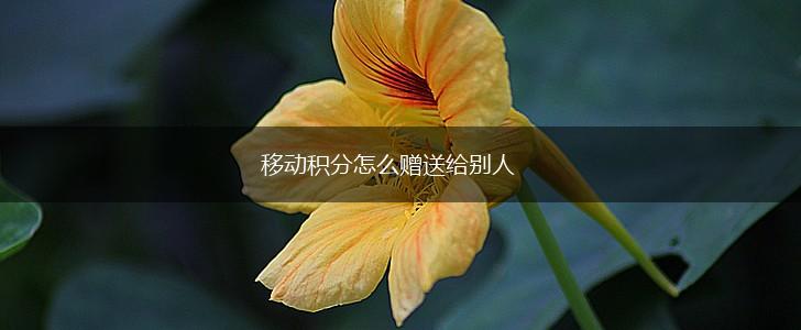 移动积分怎么赠送给别人,第1张