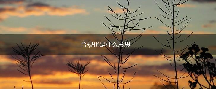 合规化是什么意思,第1张 合规化是什么意思,第1张