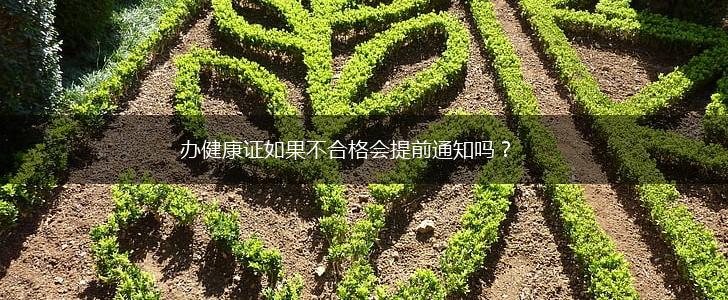 办健康证如果不合格会提前通知吗？,第1张