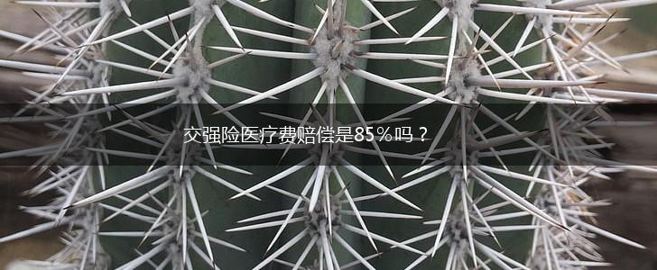 交强险医疗费赔偿是85%吗?,第1张 交强险医疗费赔偿是85%吗?,第1张