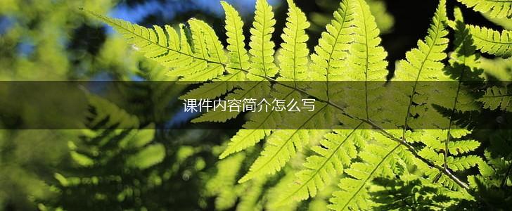 课件内容简介怎么写,第1张