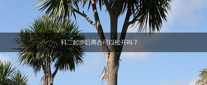 科二起步后离合可以松开吗？,第1张