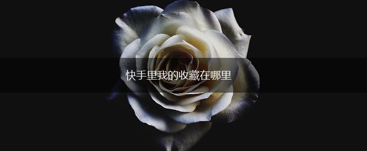 快手里我的收藏在哪里,第1张