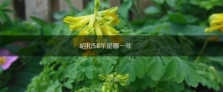 昭和58年是哪一年,第1张