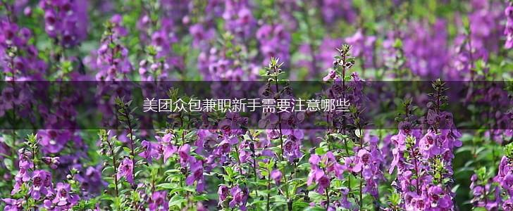美团众包兼职新手需要注意哪些,第1张