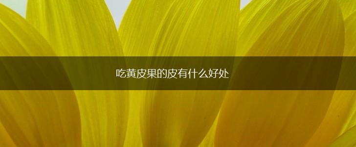 吃黄皮果的皮有什么好处,第1张