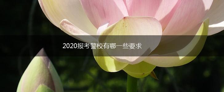 2020报考警校有哪一些要求,第1张