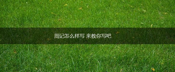 周记怎么样写 来教你写吧,第1张
