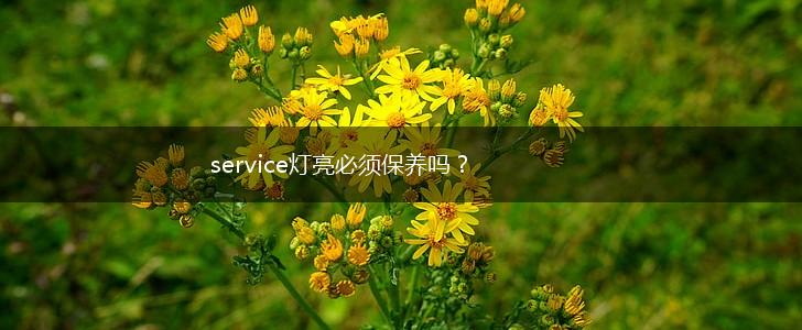 service灯亮必须保养吗？,第1张