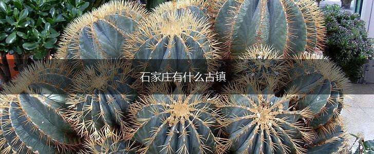 石家庄有什么古镇,第1张