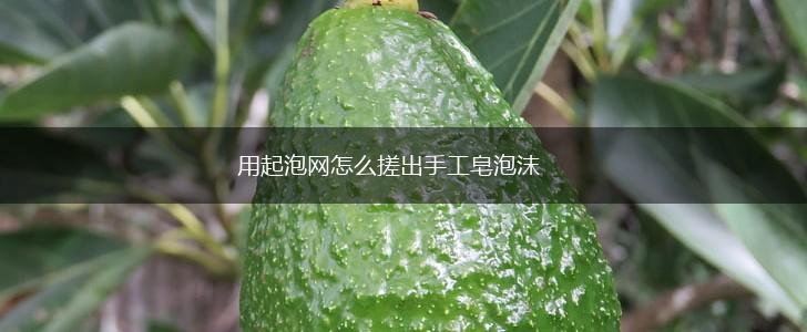 用起泡网怎么搓出手工皂泡沫,第1张