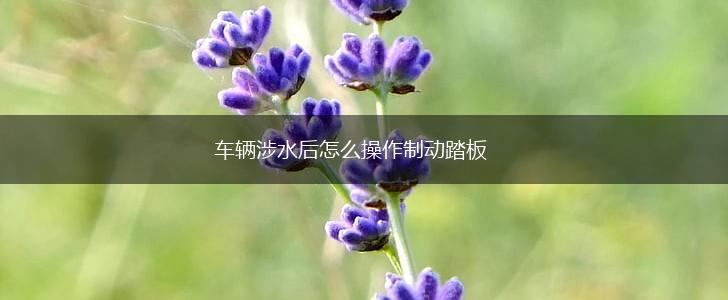 车辆涉水后怎么操作制动踏板,第1张