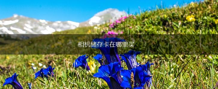 相机储存卡在哪里买,第1张