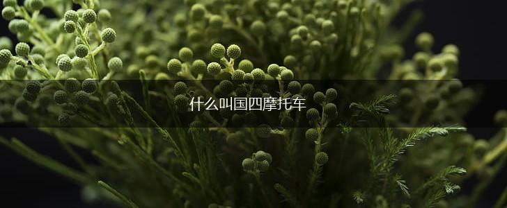 什么叫国四摩托车,第1张