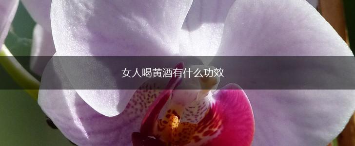 女人喝黄酒有什么功效,第1张 女人喝黄酒有什么功效,第1张