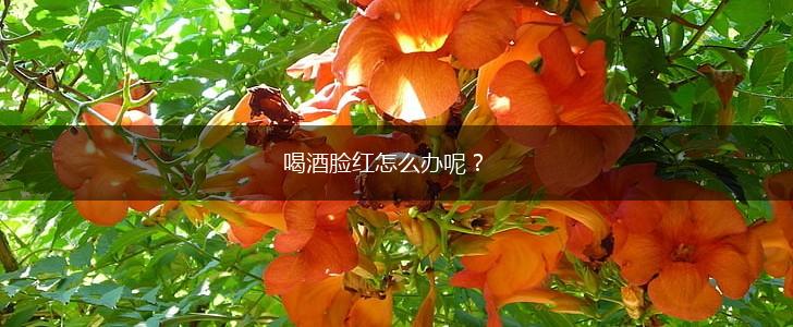 喝酒脸红怎么办呢？,第1张