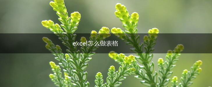 excel怎么做表格,第1张
