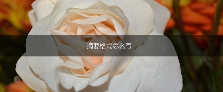 摘要格式怎么写,第1张