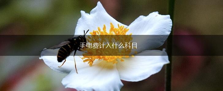 手电费计入什么科目,第1张