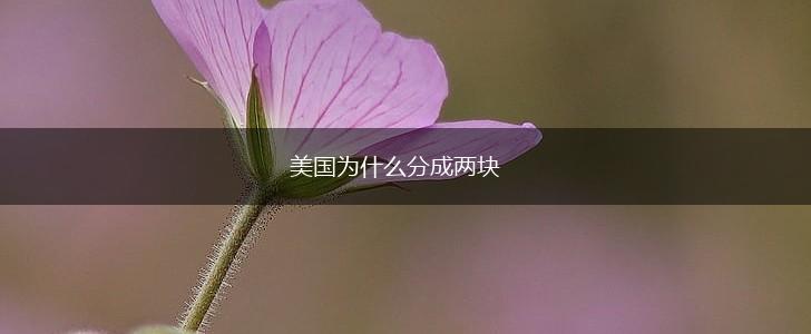 美国为什么分成两块,第1张 美国为什么分成两块,第1张