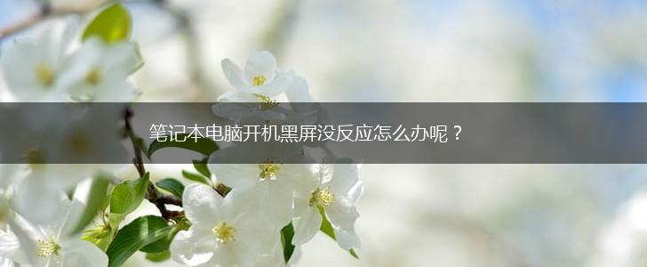 笔记本电脑开机黑屏没反应怎么办呢?,第1张 笔记本电脑开机黑屏没反应怎么办呢?,第1张