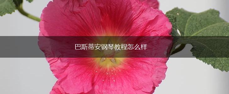 巴斯蒂安钢琴教程怎么样,第1张