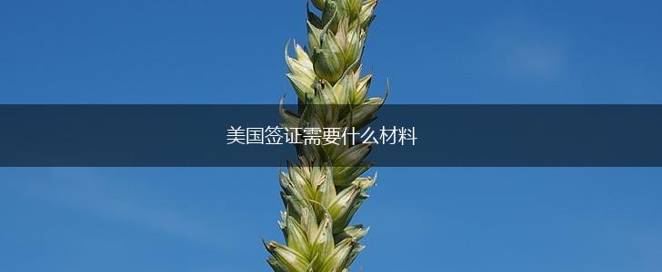 美国签证需要什么材料,第1张