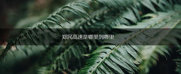 郑民高速是哪里到哪里,第1张