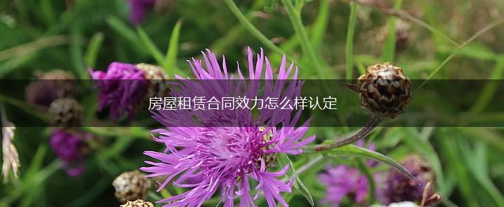 房屋租赁合同效力怎么样认定,第1张
