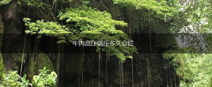 牛肉高压锅压多久会烂,第1张