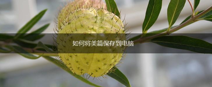 如何将美篇保存到电脑,第1张