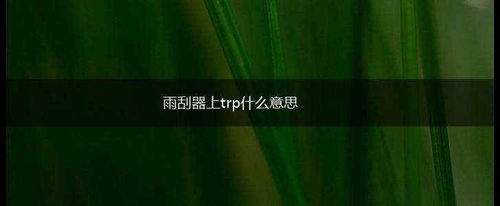 雨刮器上trp什么意思,第1张