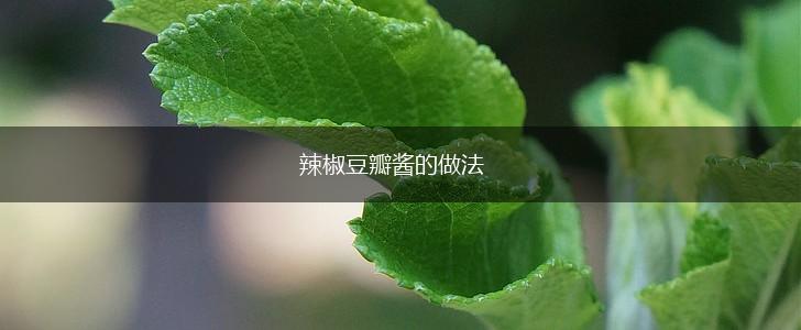辣椒豆瓣酱的做法,第1张