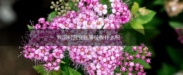 我国对营业账簿征收什么税,第1张