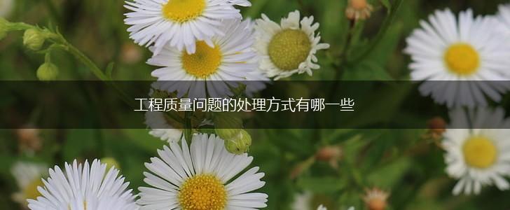 工程质量问题的处理方式有哪一些,第1张
