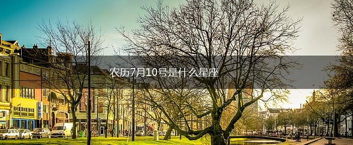 农历7月10号是什么星座,第1张