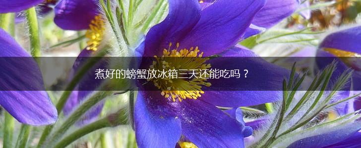 煮好的螃蟹放冰箱三天还能吃吗？,第1张