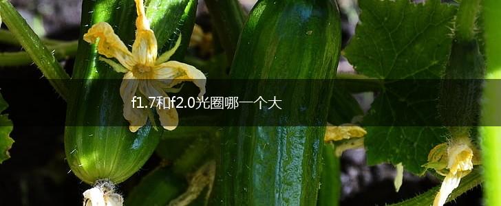 f1.7和f2.0光圈哪一个大,第1张