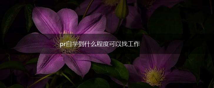 pr自学到什么程度可以找工作,第1张