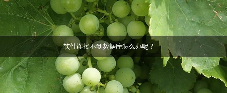 软件连接不到数据库怎么办呢？,第1张
