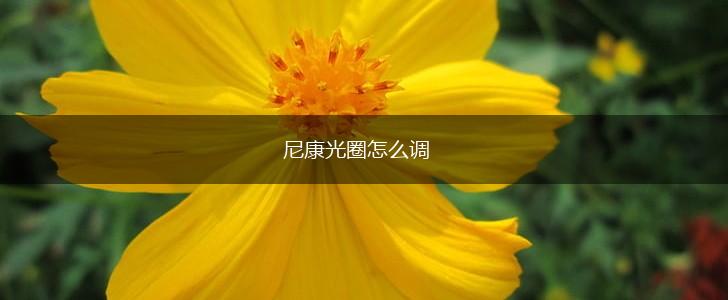 尼康光圈怎么调,第1张