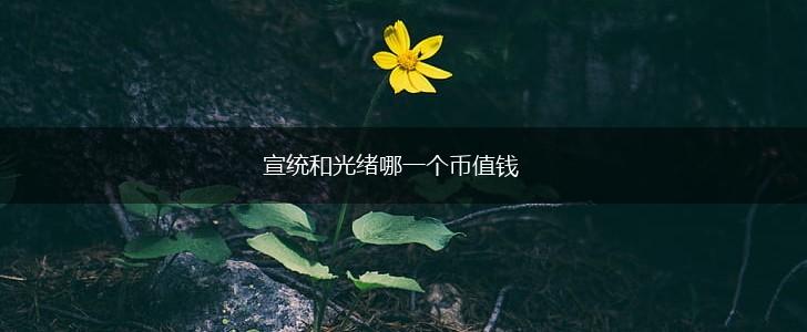 宣统和光绪哪一个币值钱,第1张